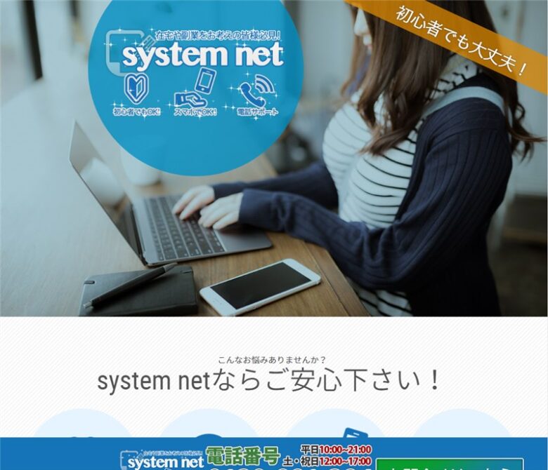 システムネット、ビジネスシステム