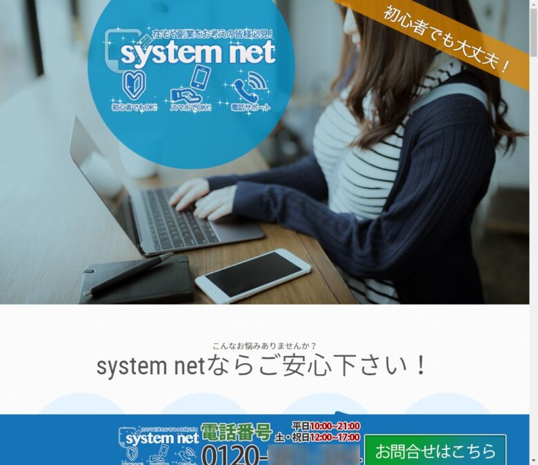 システムネット、ビジネスシステム